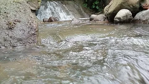 Clear Creek Water Flowing Gently Over Rocky Surface Stock Footage 329787169