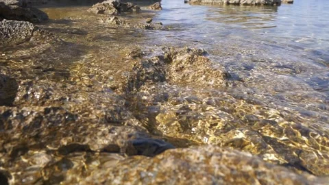 Clear crystal ocean water flows gently over shallow rocky coast. Stock Footage 337407174