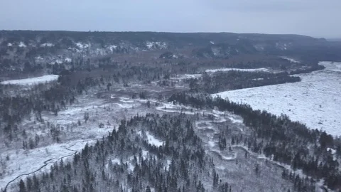 Clear cut area in winter Stock Footage 100128858