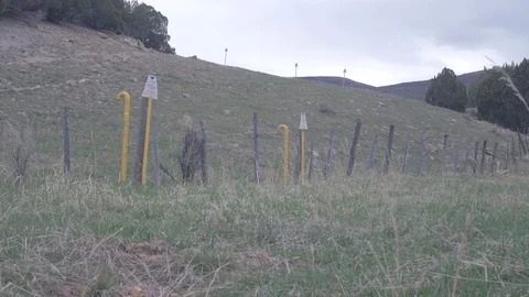 Clear cut land for buried gas pipelines. Stock Footage