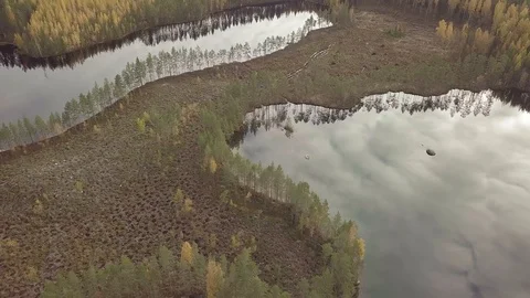 Clear cut logging area at forest between lakes with buffer zone of trees on the Stock Footage 122399141