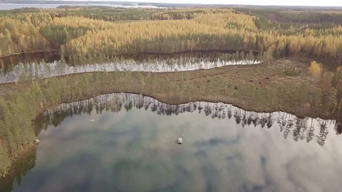 Clear cut logging area at forest between lakes with buffer zone of trees on the Stock Footage 122426127