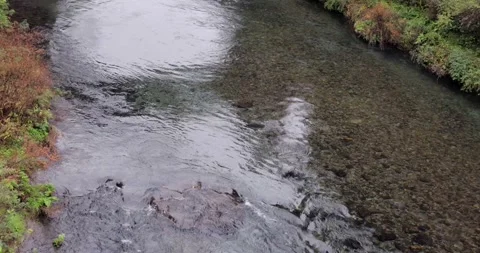 Clear Daiya River flows through autumn trees and stones in Nikko Japan Stock Footage 323810443