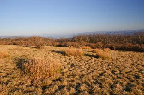 Clear day on a bald mountain Photos