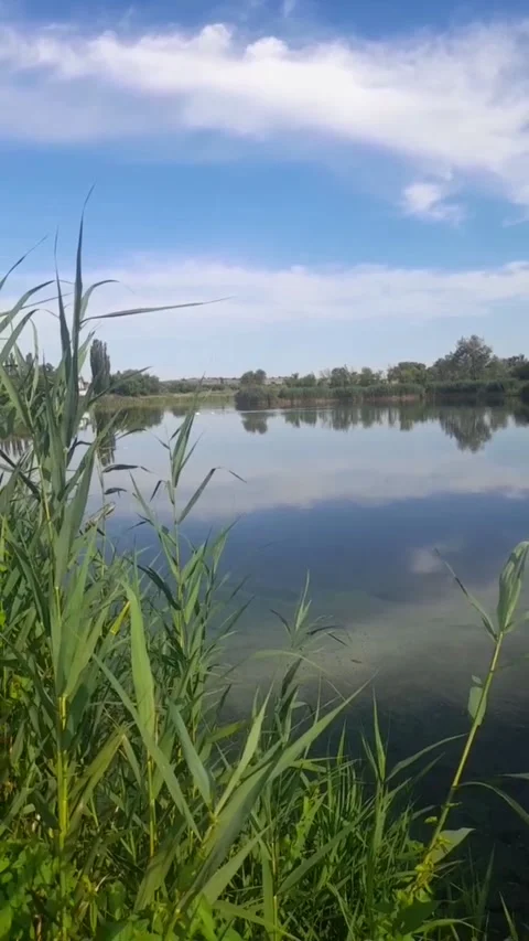 Clear day by the river Stock Footage 312936952