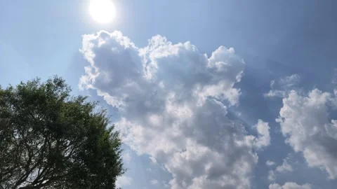 A clear day—blue skies, white clouds, and green leaves all around. Video stock 341460721