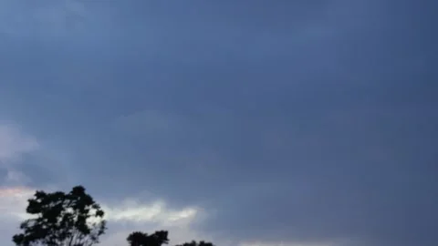 A clear, deep blue sky with silhouetted trees Stock-Footage 316239795