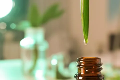 Clear drop falling from leaf into small bottle on blurred background, closeup Stock Photos