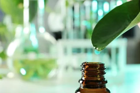 Clear drop falling from leaf into small bottle on blurred background, closeup Stock Photos