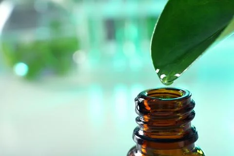 Clear drop falling from leaf into small bottle on blurred background, closeup Stock Photos