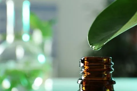 Clear drop falling from leaf into small bottle on blurred background, closeup Stock Photos
