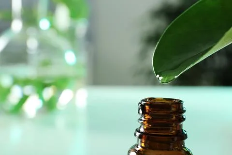 Clear drop falling from leaf into small bottle on blurred background, closeup Stock Photos