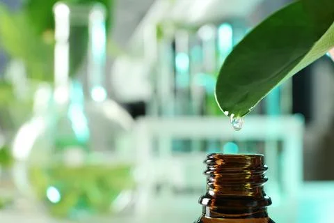 Clear drop falling from leaf into small bottle on blurred background, closeup Stock Photos