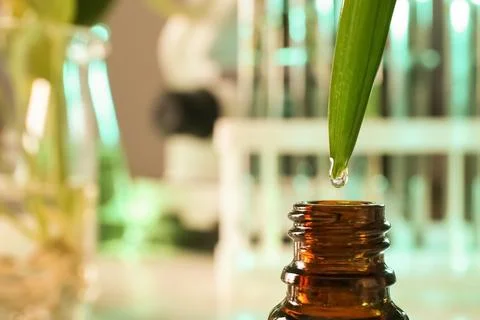 Clear drop falling from leaf into small bottle on blurred background, closeup Stock Photos