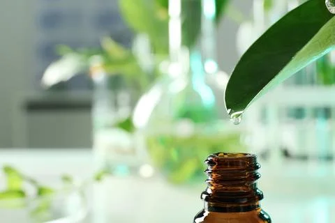 Clear drop falling from leaf into small bottle on blurred background, closeup Stock Photos