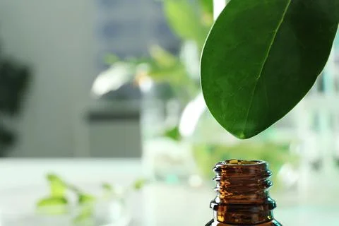 Clear drop falling from leaf into small bottle on blurred background, closeup Stock Photos