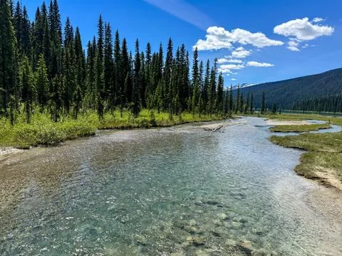 Clear Emerald River flows through lush green forest landscape under blue sky. 스톡 사진
