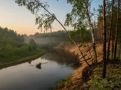 The clear evening sky is reflected in the mirror surface of the forest river  Stock Photos
