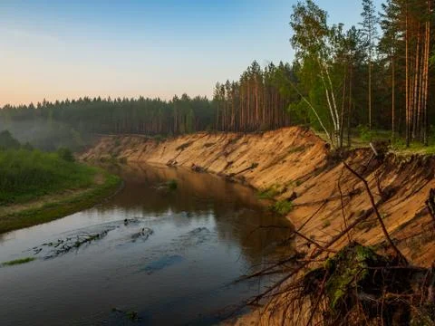 The clear evening sky is reflected in the mirror surface of the forest river  Stock Photos