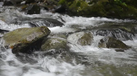 Clear fast flowing jungle river Stock Footage