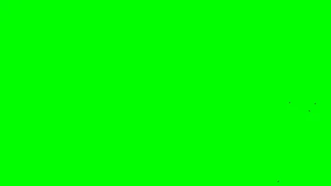 Clear flight in screen flock of black ravens background of green screen Seamless Stock Footage 110984449