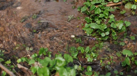 Clear Floating Water Stock Footage