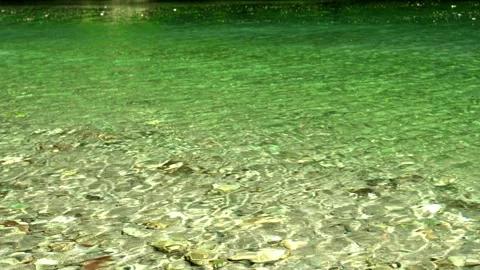 Clear Flow of the Emerald Green Atago River from a Slightly Elevated View Stock Footage 334985117