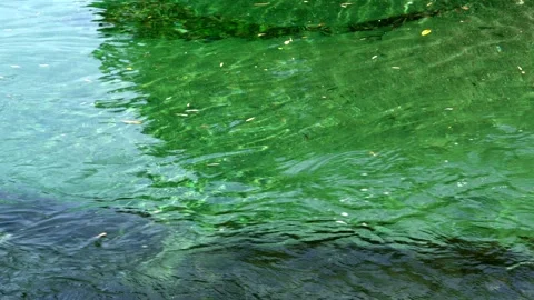 Clear Flow of the Emerald Green Atago River from a Slightly Elevated View Stock Footage 334988982