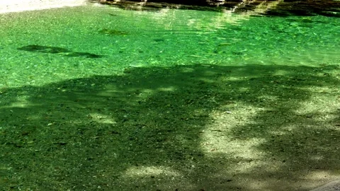 Clear Flow of the Emerald Green Atago River from a Slightly Elevated View Stock Footage 334989088