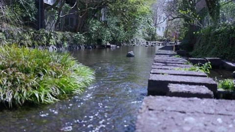 The clear-flowing Genbei River 库存影片 331625091