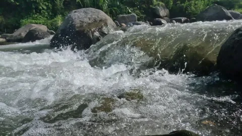 A clear flowing mountain river in the river rocks 1 Stock Footage 320984875