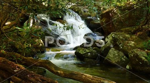 Clear flowing mountain stream deep in the wilderness Stock Photos