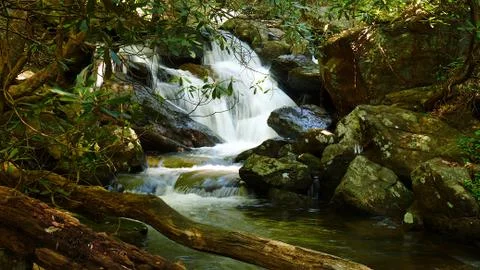 Clear flowing mountain stream deep in the wilderness Foto stock