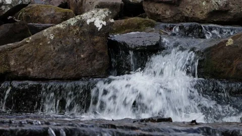 The Ozark Mountain Streamer