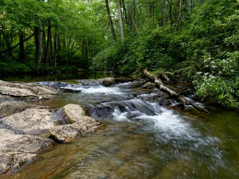 Clear flowing mountain stream Fotos de archivo