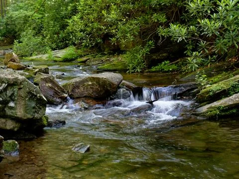 Clear flowing mountain stream Stock Photos