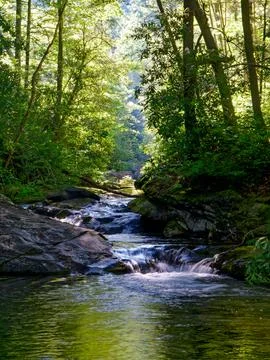 Clear flowing mountain stream Foto stock