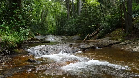 Clear flowing mountain stream in pristine setting Stock Footage 92493308