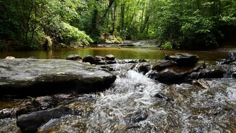 Clear flowing mountain stream in pristine setting Vídeo Stock 92493379