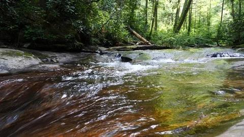 Clear flowing mountain stream in pristine setting Видео 93471744