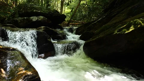 Clear flowing mountain stream in pristine setting 動画素材 93471855