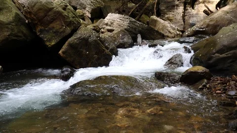 Clear flowing mountain stream in pristine setting 動画素材 98252495