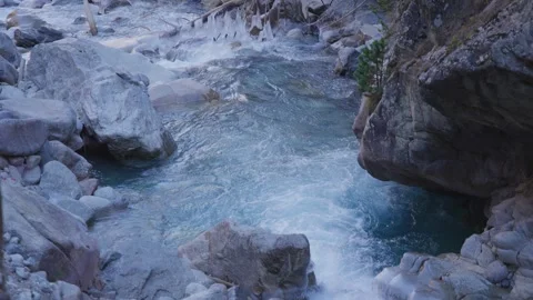 Clear flowing river with rocks in the forest Stock Footage 310231064