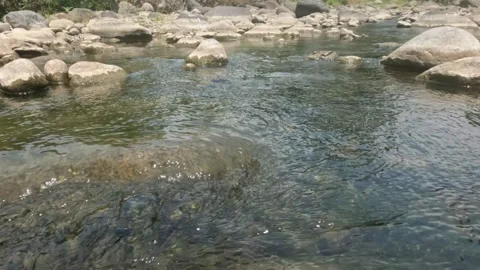 A clear flowing rocky mountain river Stock Footage 323149443
