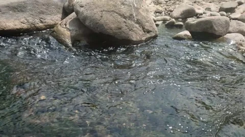 A clear flowing rocky mountain river Stock Footage 323149449
