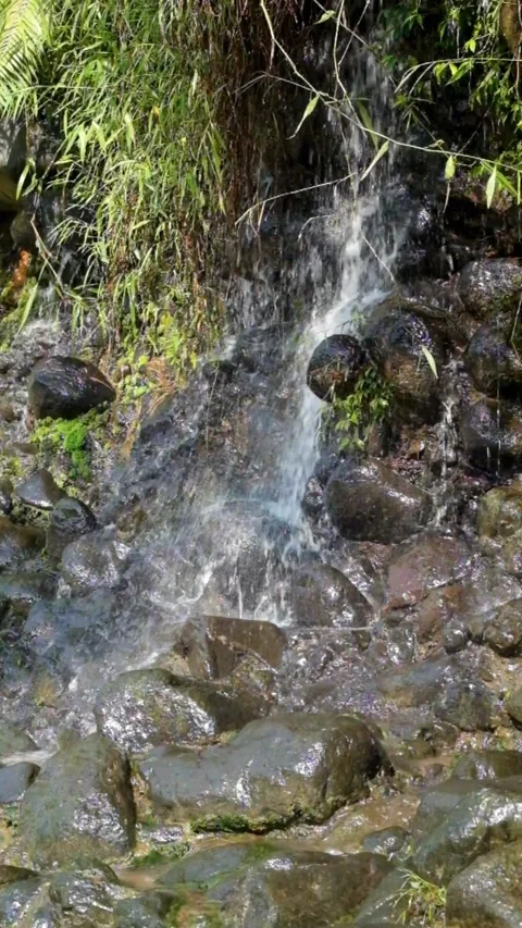 Clear flowing spring in the mountains Stock Footage 319886623