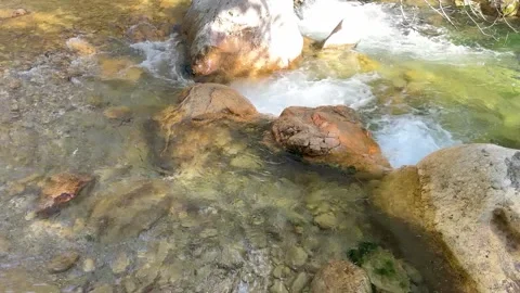 Clear flowing stream over rocks with natural water sound, forest creek Stock Footage 333924649