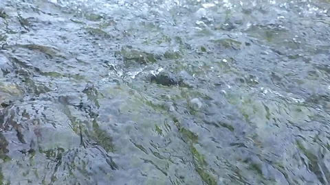 Clear flowing water Stock-Footage 278946266