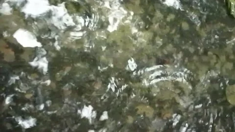 Clear flowing water over smooth river pebbles and stones a close-up view 스톡 동영상 335761907