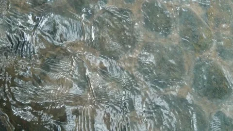 Clear flowing water streaming over smooth river stones in a natural stream. 库存影片 343368780